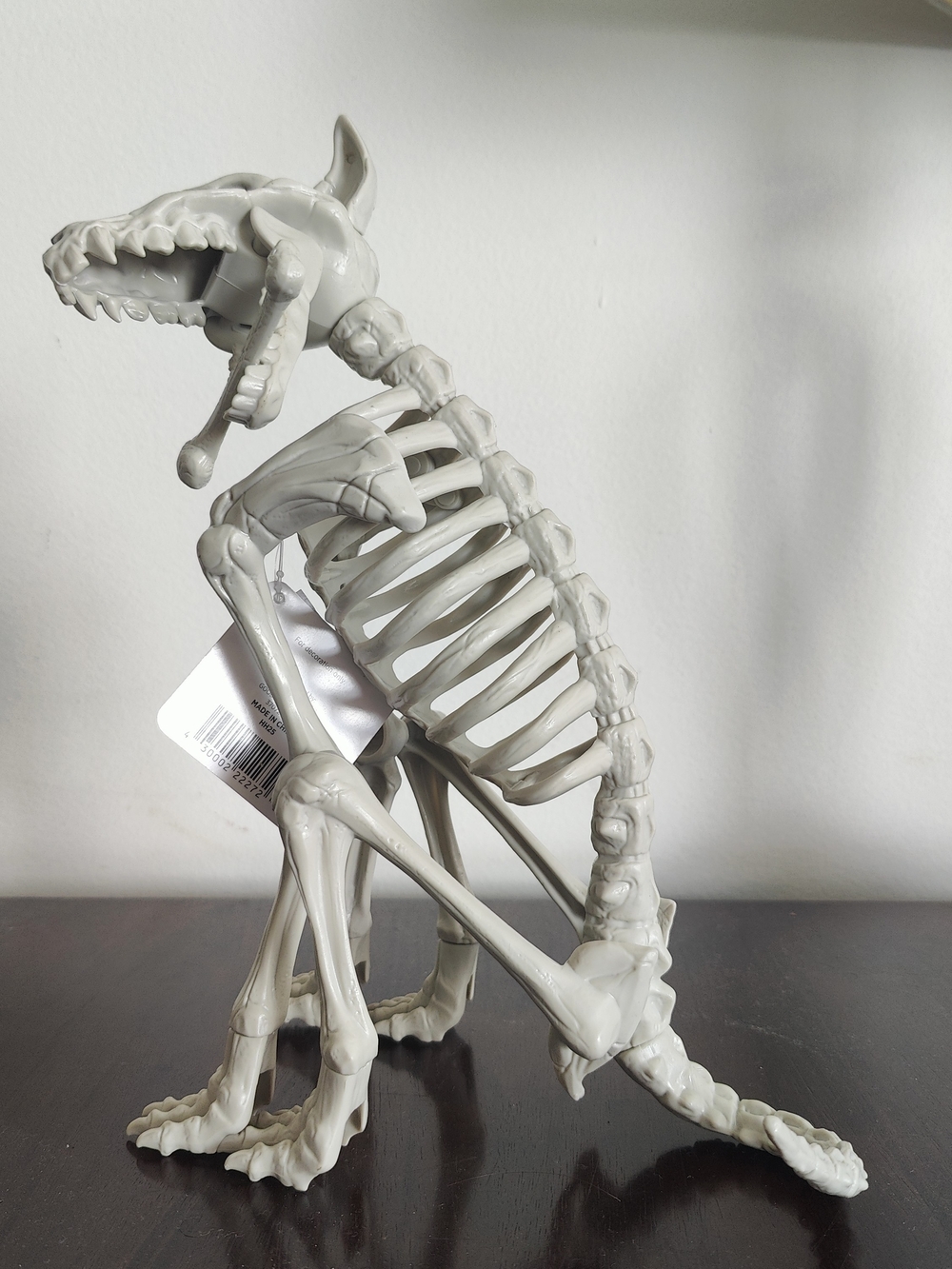 Gray Dog Skeleton Pet Toy / Décor